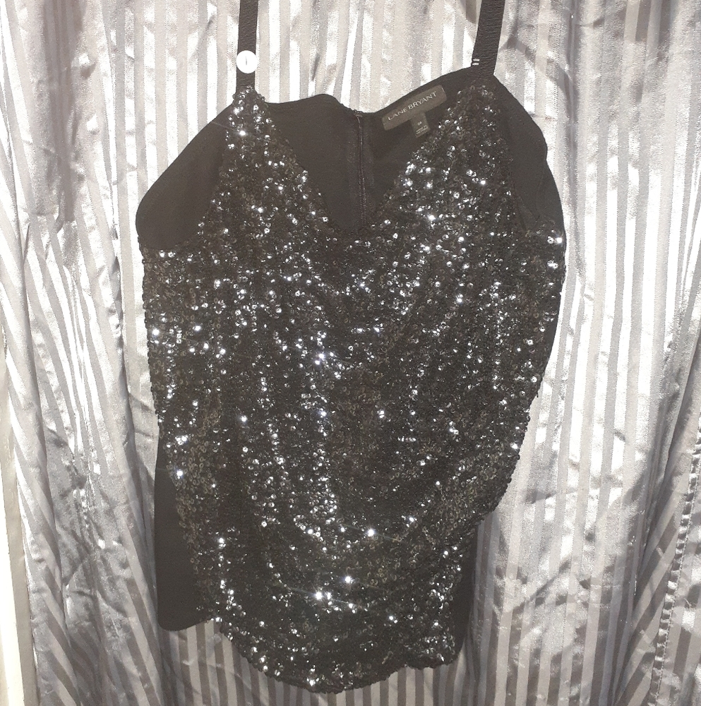 Lane Bryant Bustiersilver shirt